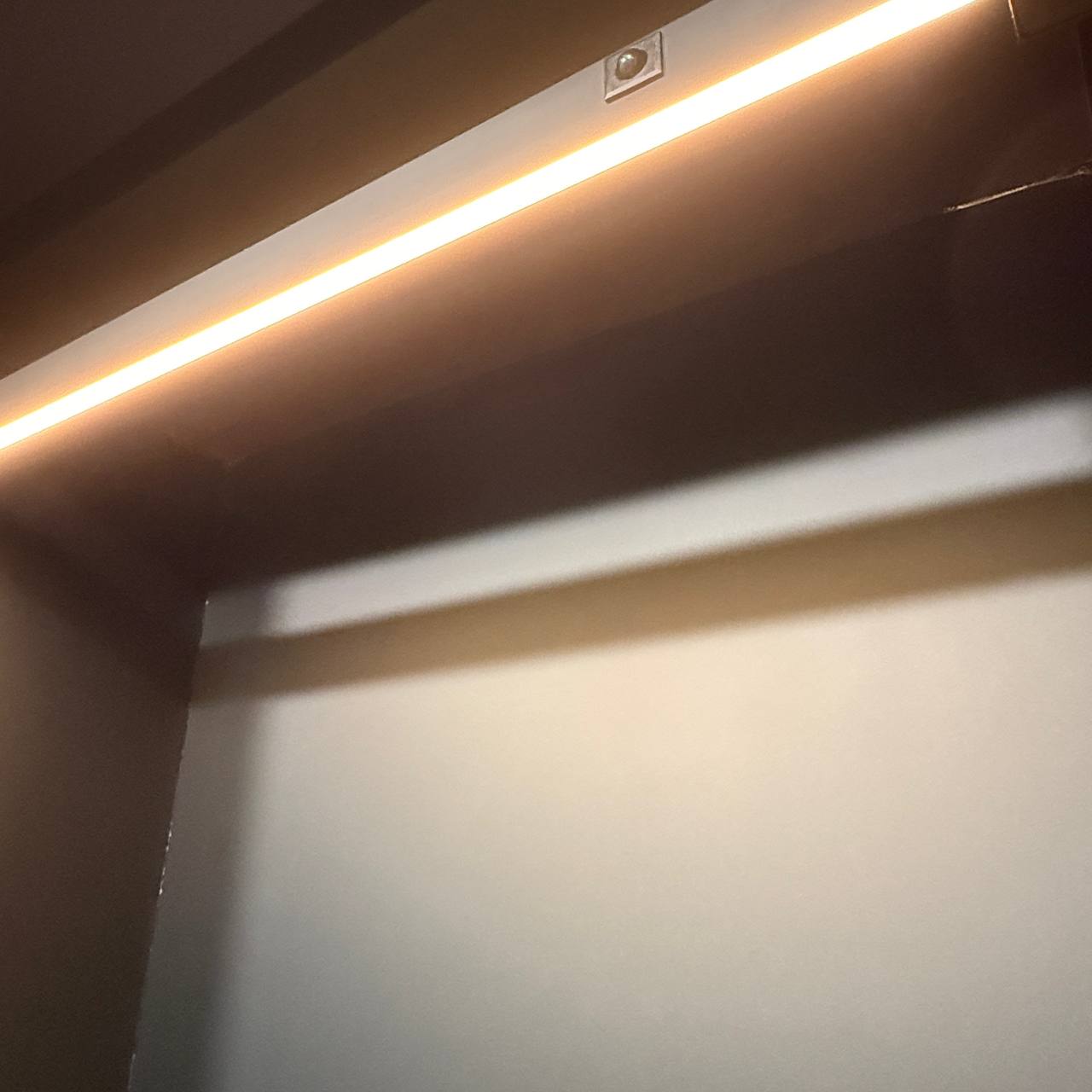 photo 2025 05 06 14 17 12