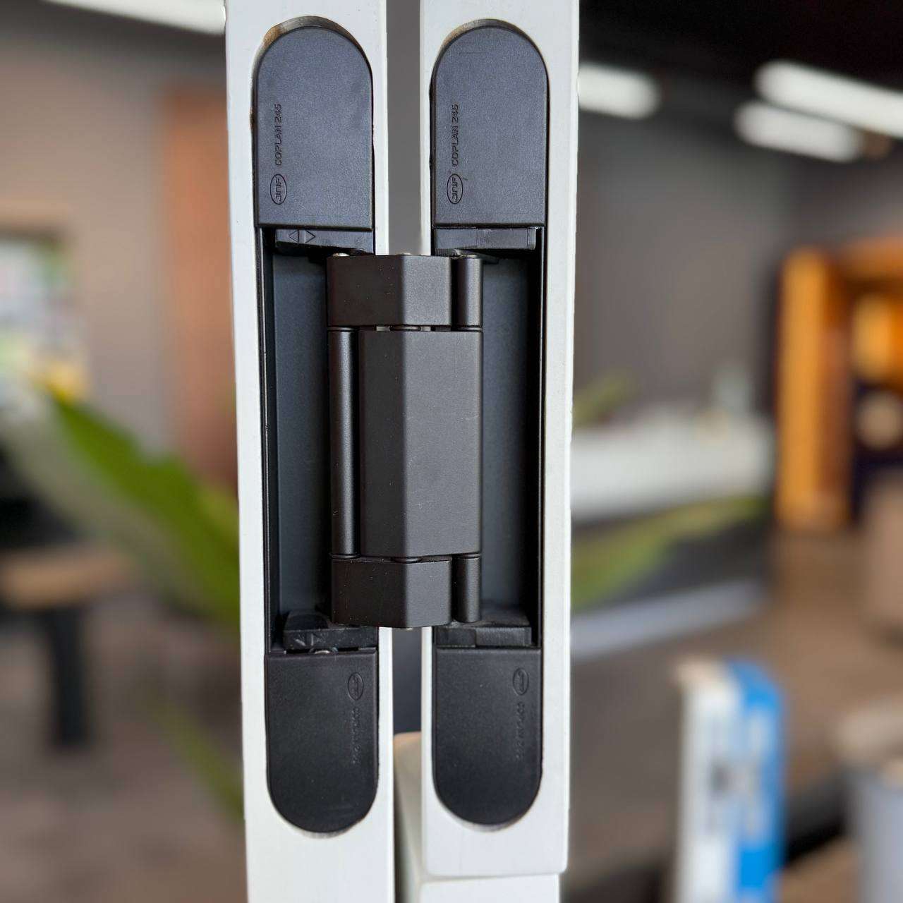 photo 2025 05 11 16 32 12